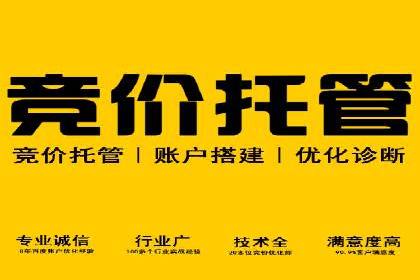 SEM服务公司助力企业竞争案例